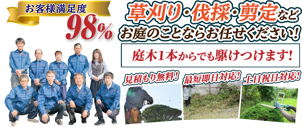 植木の剪定、伐採、草刈りは【植木ドクター】低価格な植木屋さん