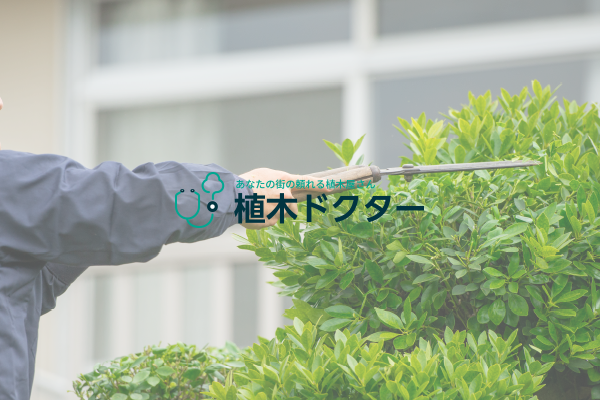 一本からでも受付対応いただけますか？ - 植木の剪定、伐採、草刈りは【植木ドクター】低価格な植木屋さん