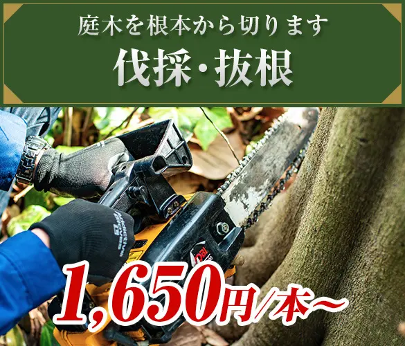 植木ドクター⽴川本店 - 植木の剪定、伐採、草刈りは【植木ドクター】低価格な植木屋さん