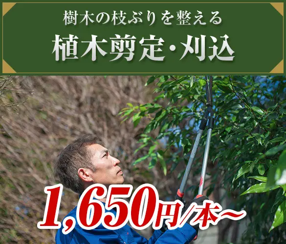 植木ドクター⽴川本店 - 植木の剪定、伐採、草刈りは【植木ドクター】低価格な植木屋さん