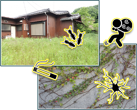 空き家の伐採、草刈り - 植木の剪定、伐採、草刈りは【植木ドクター