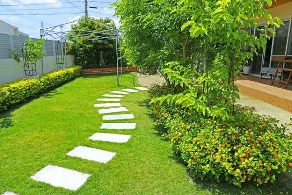 メリットが沢山 芝生のお庭にしませんか 植木の剪定 伐採 草刈りは 植木ドクター 低価格な植木屋さん