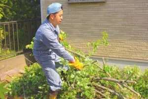 伐採におけるお祓い・お清めは必要性、やり方とは？ - 植木の剪定、伐採、草刈りは【植木ドクター】低価格な植木屋さん