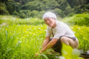 雑草対策に！防草砂の効果や種類、選び方について (4)