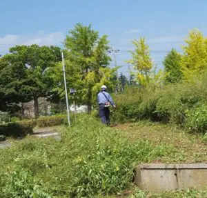 庭師・造園業・植木屋の違いとは？ - 植木の剪定、伐採、草刈りは
