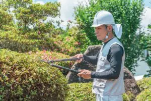 造園、庭木伐採、手入れ、庭じまい、草抜き、草刈り お庭の終活「庭じまい」とは？費用相場もご紹介します！ - 植木の剪定