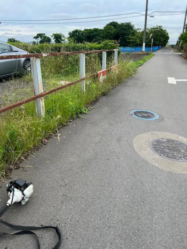 神奈川県川崎市・駐車場の草刈り・草抜き - 植木の剪定、伐採、草刈りは【植木ドクター】低価格な植木屋さん