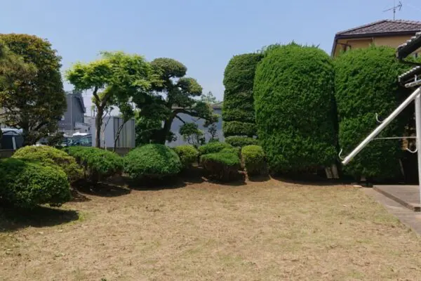 千葉県船橋市・広いお庭の草刈り - 植木の剪定、伐採、草刈りは【植木ドクター】低価格な植木屋さん