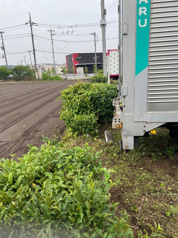 神奈川県川崎市・駐車場の草刈り・草抜き(3)