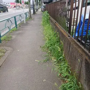 庭や駐車場　屋敷周り　空き地全般　草刈り致します 駐車場内の植え込み50㎡などの「草刈り」を1人1日で実施した事例｜大阪