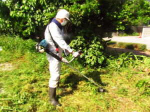 空き家の草刈り！冬に行なうことで落ち葉までまとめて処理しましょう