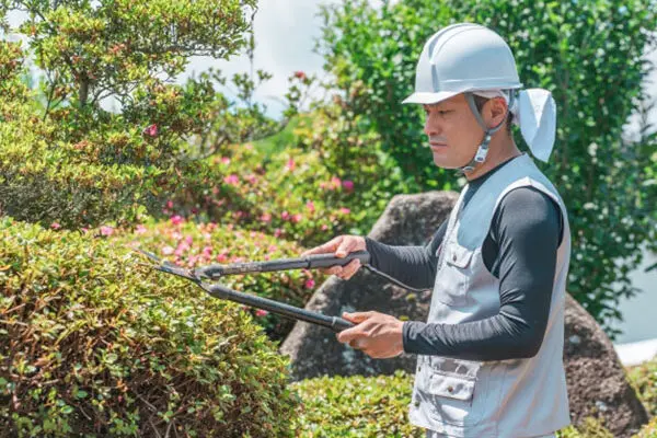 植木の剪定、伐採、草刈りは【植木ドクター】低価格な植木屋さん