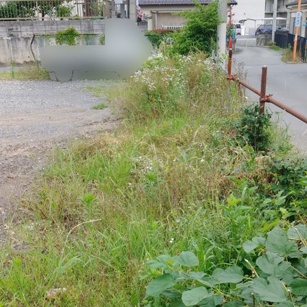 東京都八王子市 駐車場 雑草