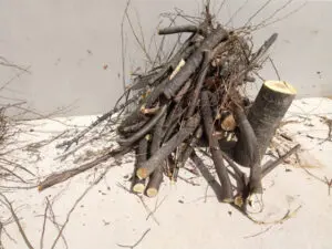 伐採木の廃棄｜作業前に知って得する枝木の処分術 - 植木の剪定、伐採
