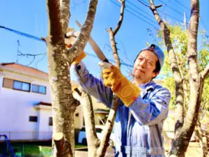伐採木の廃棄｜作業前に知って得する枝木の処分術 - 植木の剪定、伐採