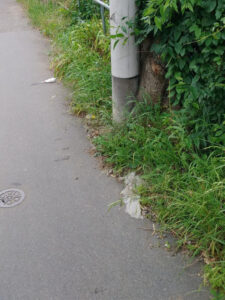 東京都八王子市 草刈り前