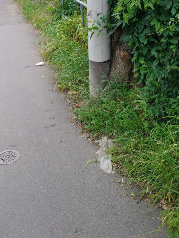 東京都八王子市 草刈り前