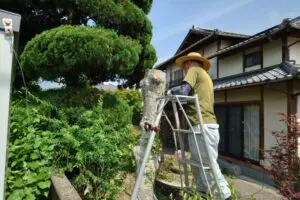 造園、庭木伐採、手入れ、庭じまい、草抜き、草刈り 庭じまい｜老後に庭の手入れをしやすくするには業者に依頼がおススメ