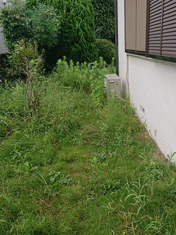神奈川県川崎市 草刈り前