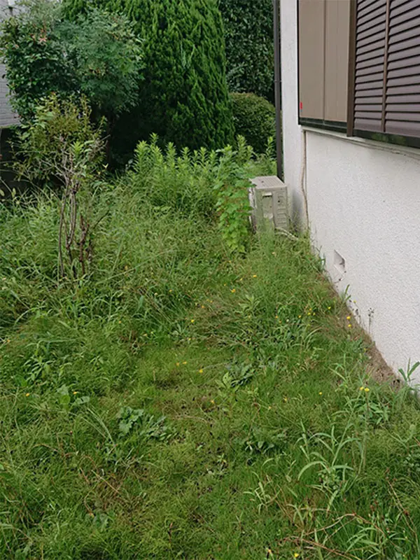 神奈川県川崎市・伸びきったお庭の草刈りをご依頼いただきました