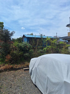 日野市 伐採前 全体