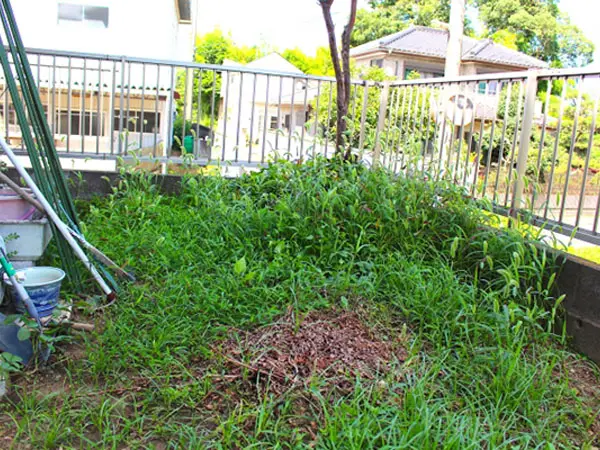 夏のお庭｜グングン伸びる雑草は対策ひとつでお手入れ楽ちん