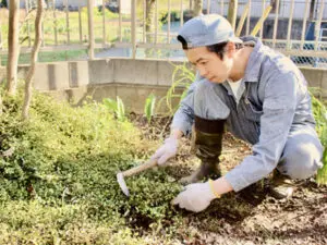 お庭の草刈りに 庭の草刈りは梅雨前が正解。雑草除去が楽になる園芸用品6選 - zakⅡ