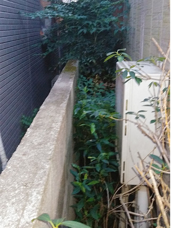 東京都小金井市 施工前