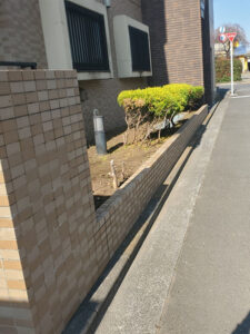 埼玉県入間市 マンション 剪定