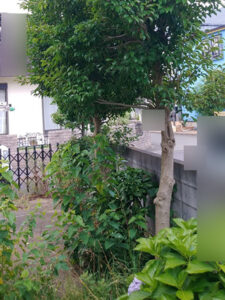 東京都立川市 門 雑草