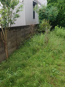 神奈川県川崎市 施工前