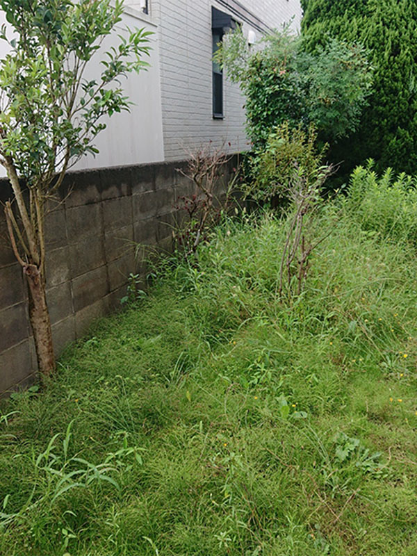 神奈川県川崎市 施工前