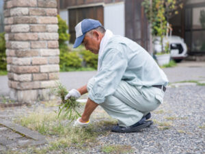 草刈り 業者
