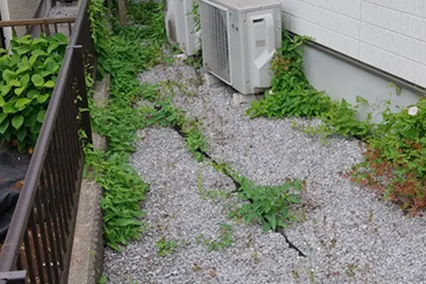 東京都東久留米市・防草シートの隙間から生えた雑草を撤去しました