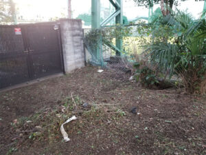 東京都小金井市 草刈り後