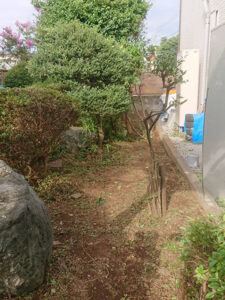 東京都あきる野 剪定後