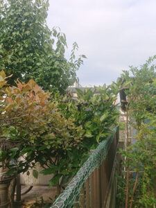 東京都あきる野 施工前