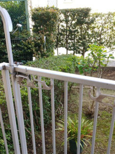 東京都大田区 剪定後