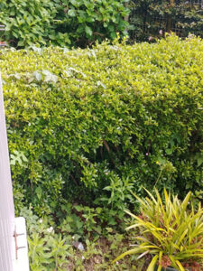 東京都大田区 施工前