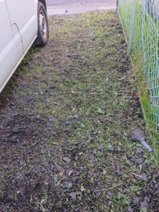 東京都大田区 草刈り後