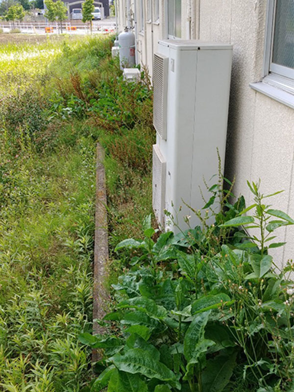 東京都日野市 草刈り 作業前