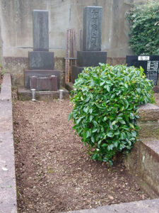 東京都羽村市 墓 草抜き後