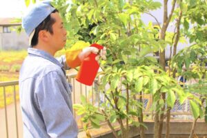 シロアリ 業者