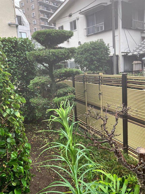 東京都あきる野市.剪定 刈り込み
