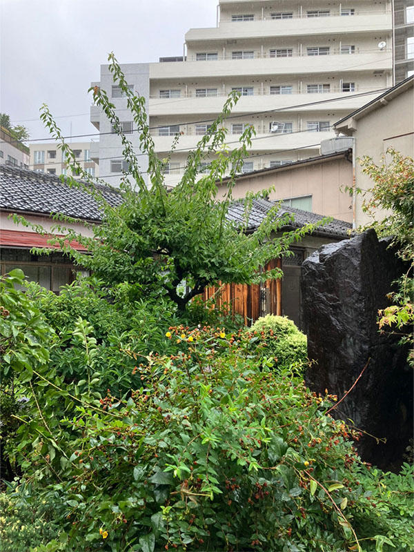 東京都あきる野市 草刈り前