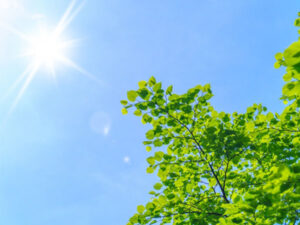 日中 太陽