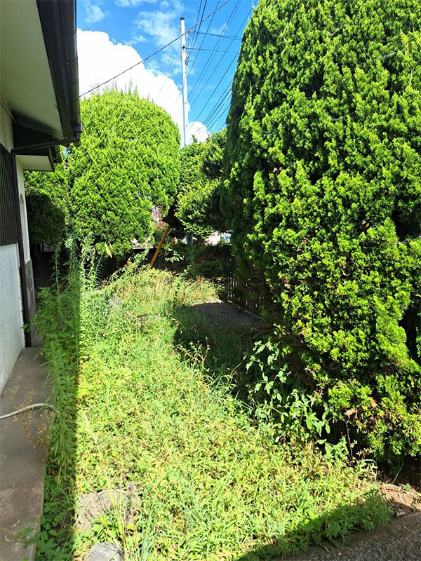 埼玉県入間市 草刈り前