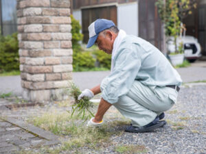 草刈り 業者