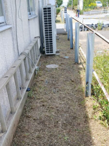 東京都国立市 草刈り 手入れ前