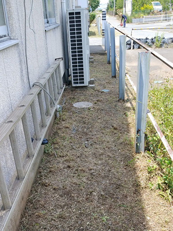 東京都国立市 草刈り 手入れ前